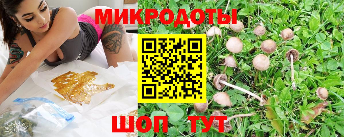 Псилоцибиновые грибы Psilocybe Хабаровск